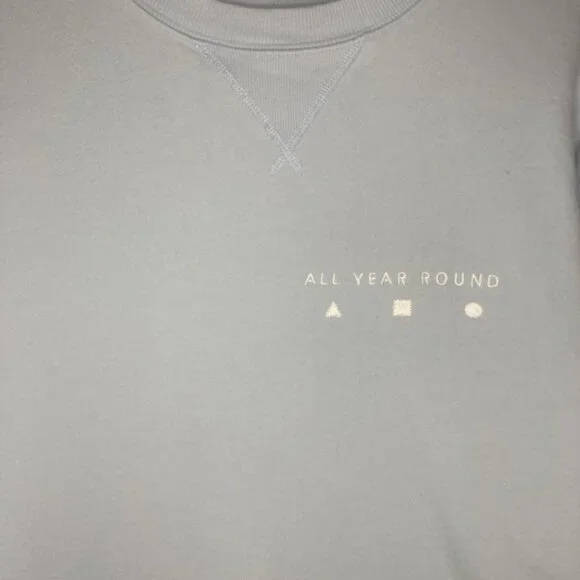 AYR All Year Round The Sweatshirt Crewneck Light Blue Small Classic 100% Cotton - Picture 3 of 12